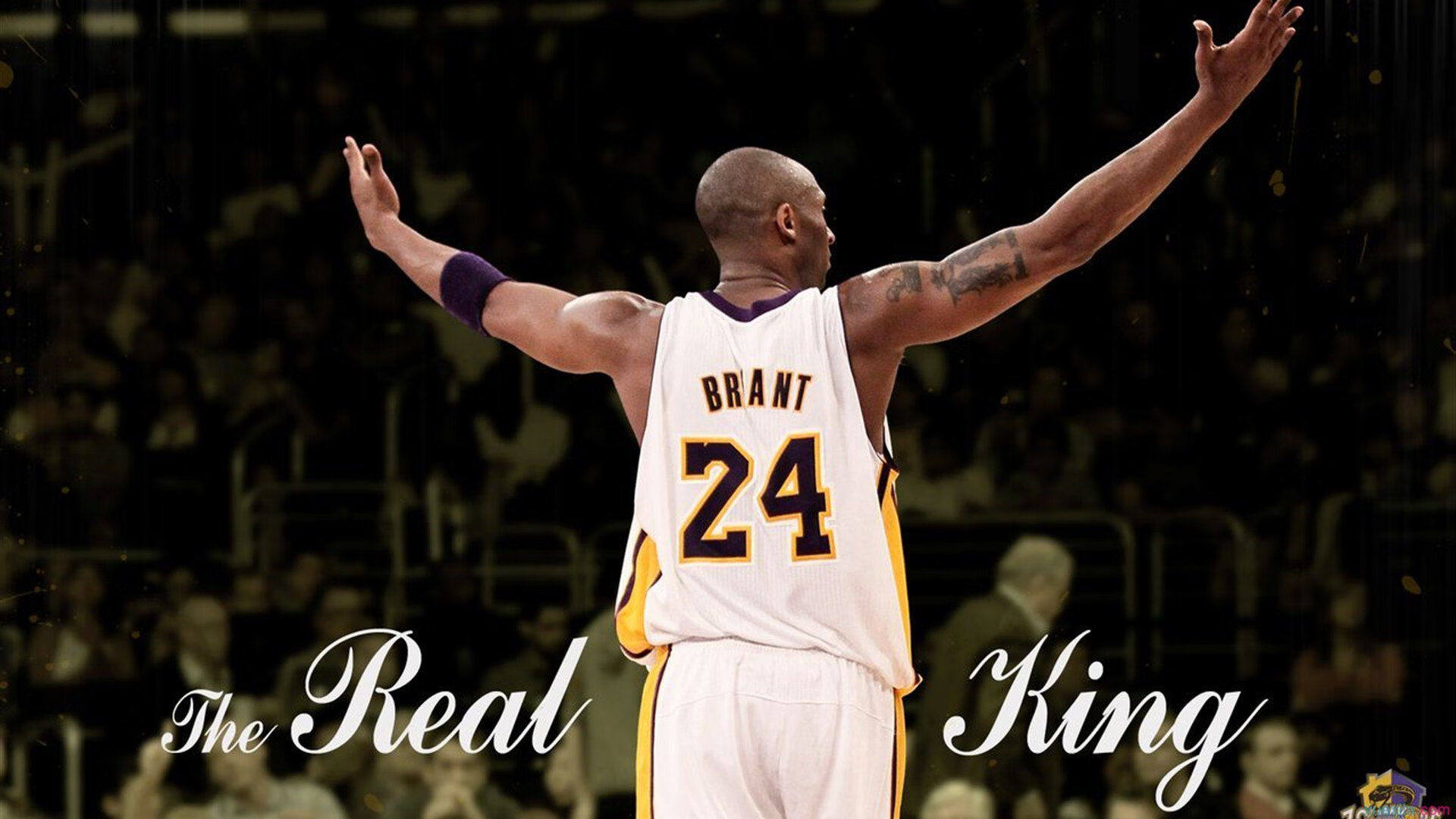 山西队战术压制独行侠,锡安成为关键先生